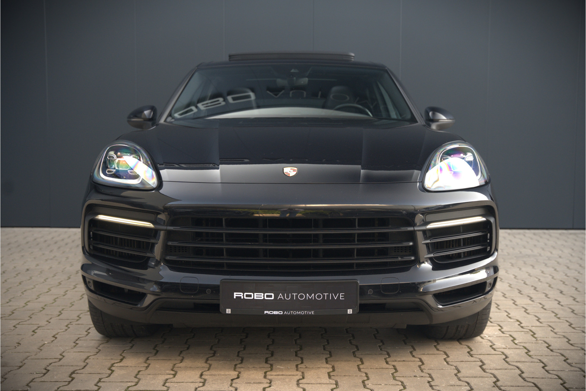 44786178-10.jpg
