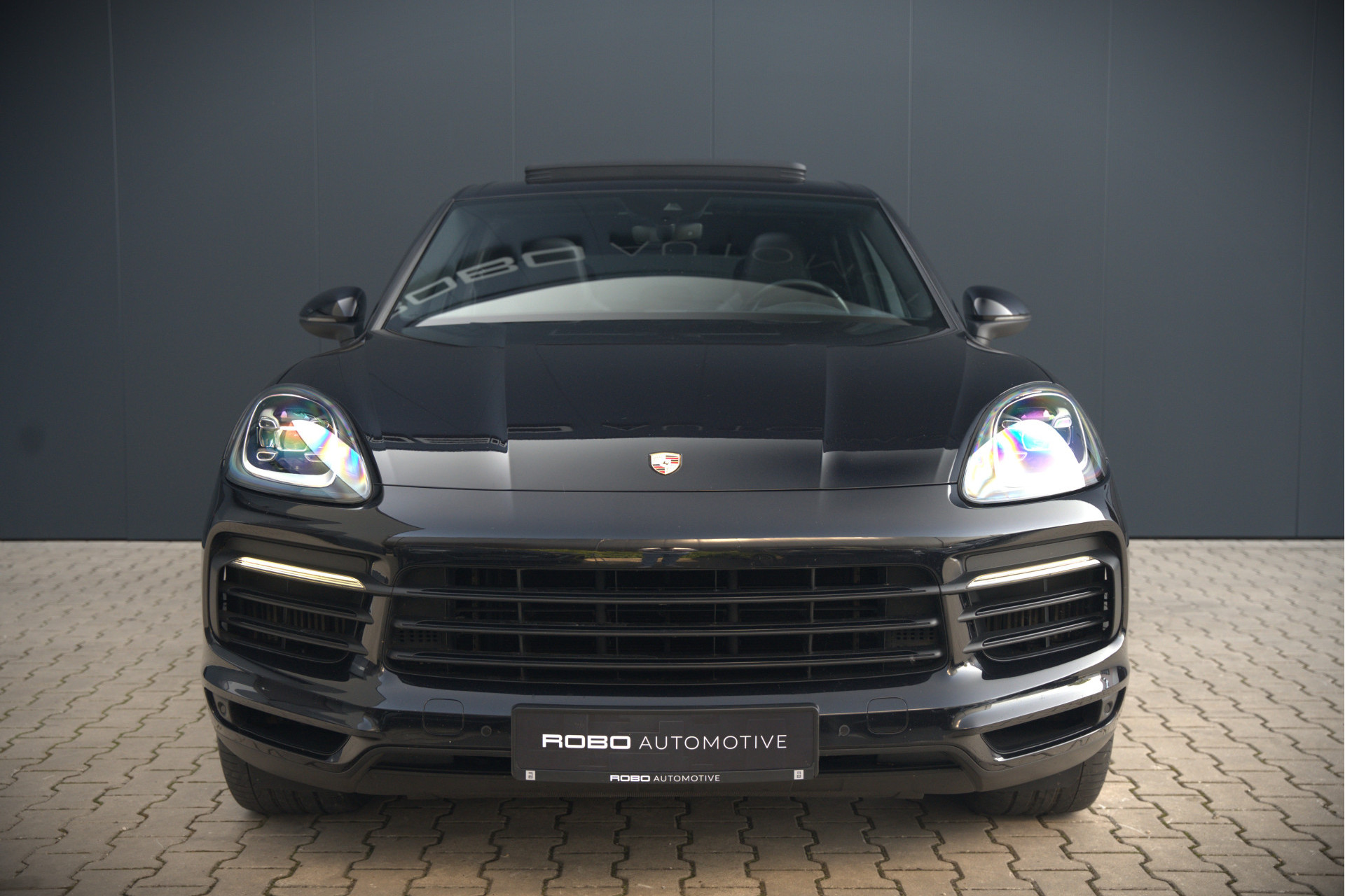 44786178-9.jpg